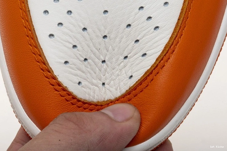 Backboard Shattered Jordan Reverse 1 Air OG Reteo 555088-113 0417